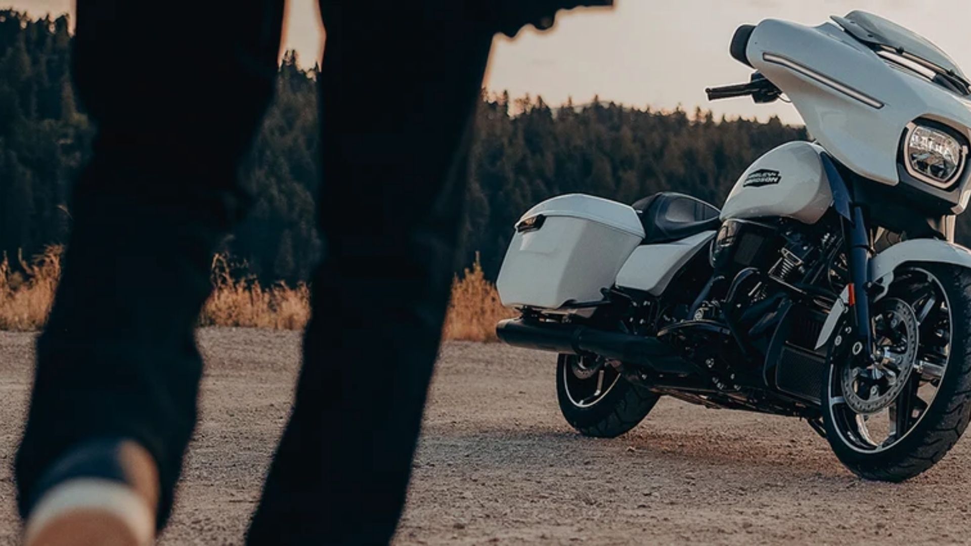 harley davidson motorcycle